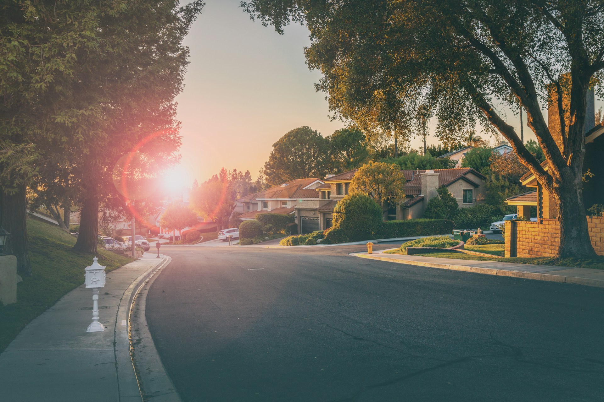 A peaceful residential neighborhood street lined with trees and parked cars